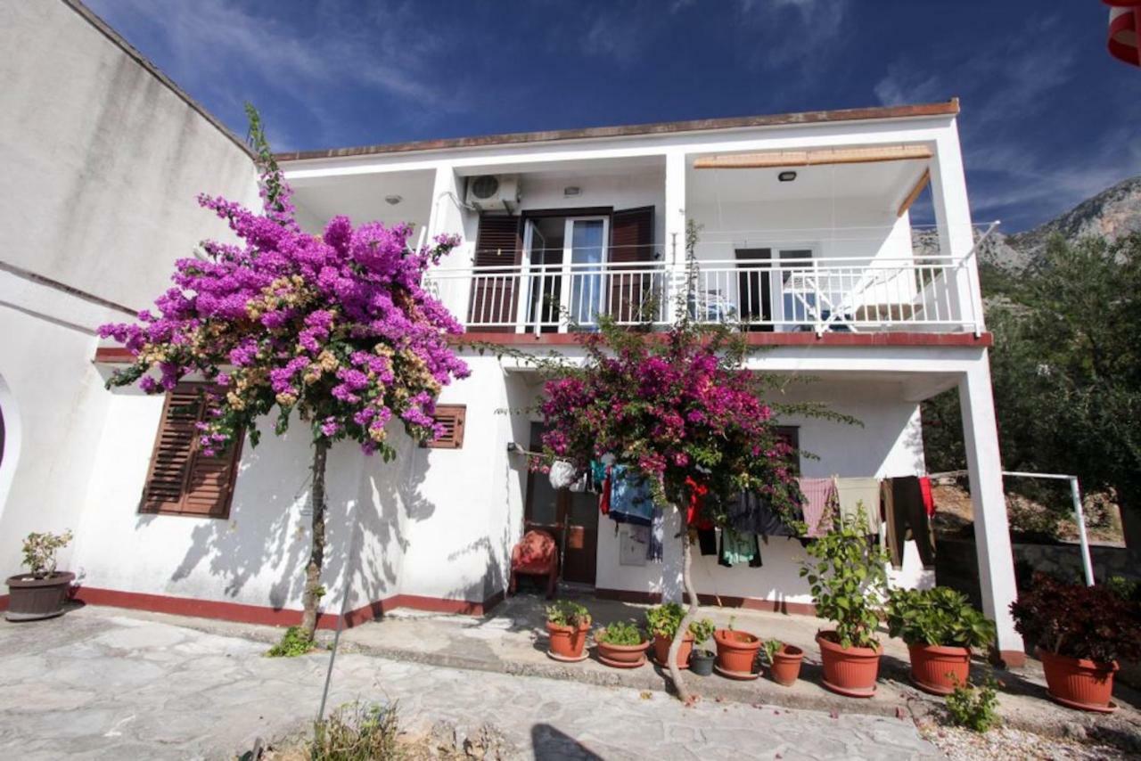 Apartments Elenora 브리스트 외부 사진